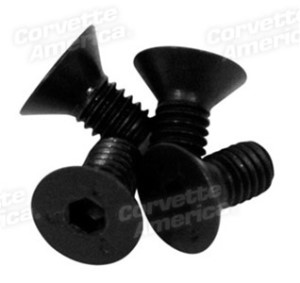 Grab Bar Screws. Clutch Head 4  Piece 58-62