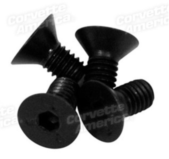 Grab Bar Screws. Clutch Head 4  Piece 58-62
