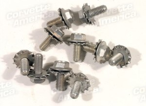 Hood Hinge Bolt Set. 10 Piece 58-62