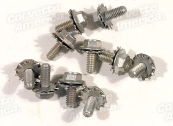 Hood Hinge Bolt Set. 10 Piece 58-62