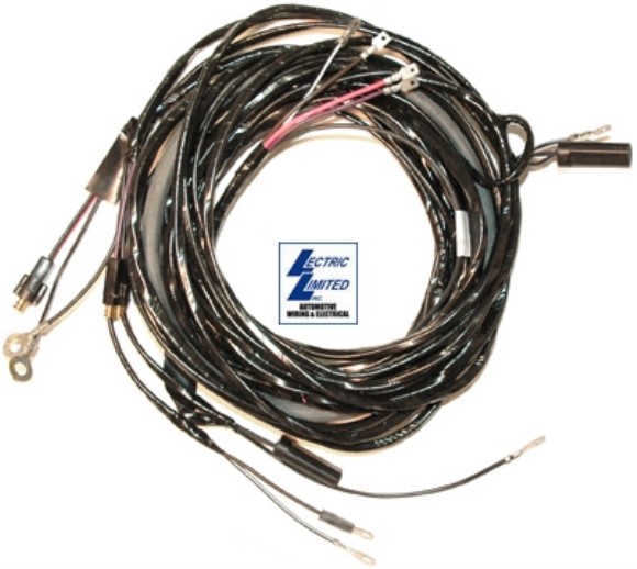 Harness. Rear 6 Volt 53-55