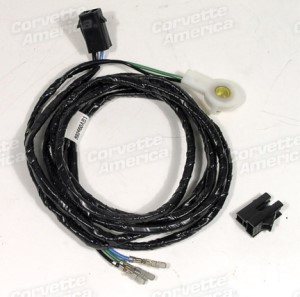 Door Lock Anti-Theft Switch. LH 81-82