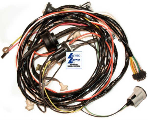 Harness. Rear 77 Early Before 3/2/77 77