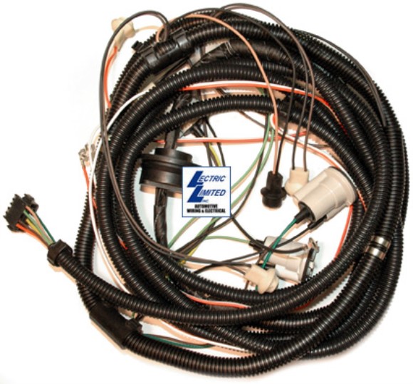 Harness. Rear 77 Late After 3/2/77 77