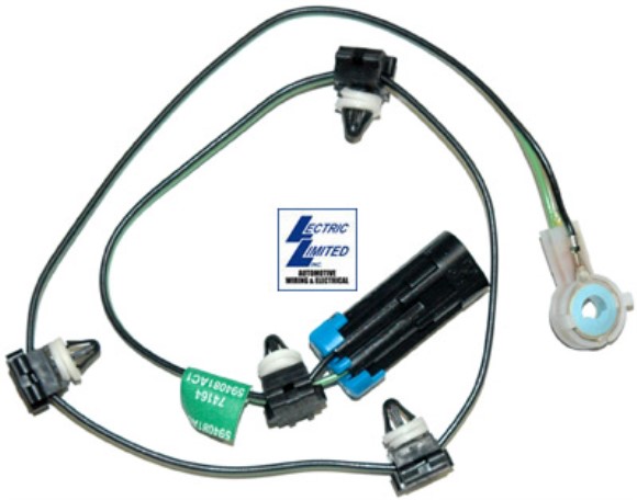 Door Anti-Theft Switch. RH 87-96