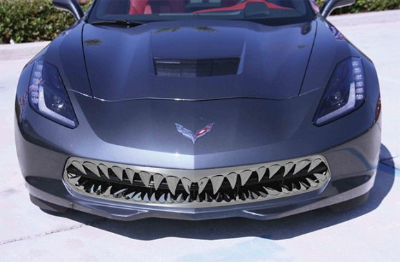 GRILLE. SHARK TTH SS. EXC FRT CAMRA