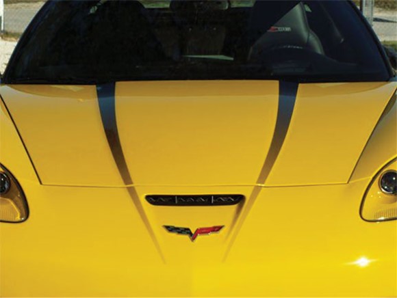 HOOD GRAPHIC FADE