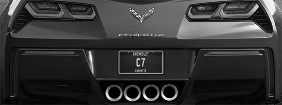 GALLERY CANVAS - C7