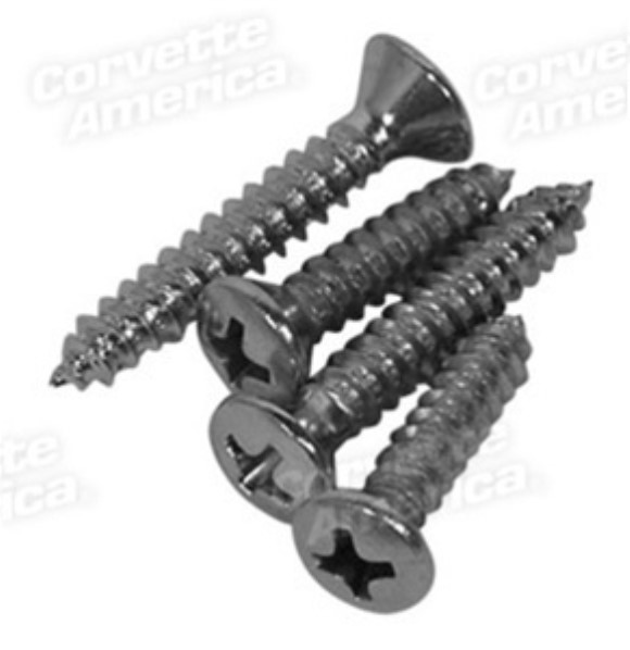 Grab Bar End Cap Screws. 4  Piece Set 58-62
