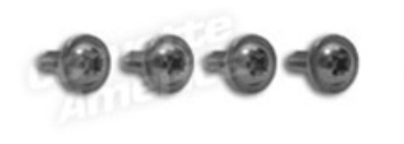 Radio Side Panel Screws. 4 Piece Set 63-67