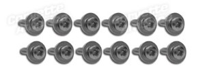 Kick Panel Screws. 12 Piece Set 65-67