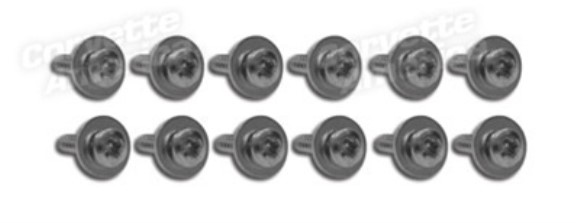 Kick Panel Screws. 12 Piece Set 65-67