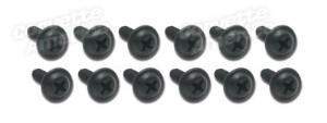 Grille Mount Screw Set. 12 Piece 68-69