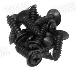 Rear Window Screws. 12 Piece 78-82