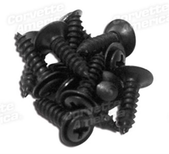 Rear Window Screws. 12 Piece 78-82
