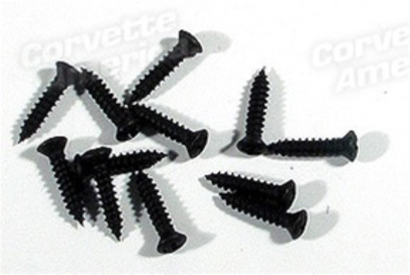 Rear Window Molding Screws. 12 Piece 78-82