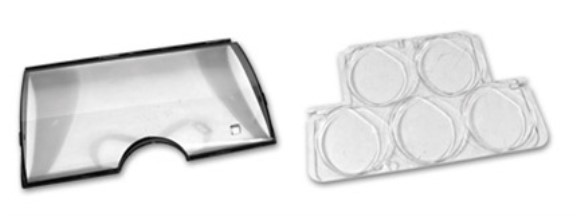 Lens Kit - Speedo, Tach, & Gauge Cluster 78-82