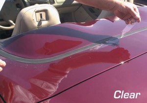 Deck Lid Protector. Softtop Clear 05-13